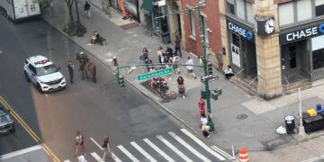 Woman Suspected of Snatching Purse on UWS is Chased Down By Cop on Horseback: NYPD, Video Shows