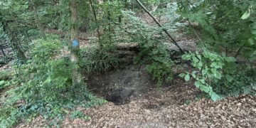 Sinkhole Continues to Expand Near Upper West Side Dog Park: ‘Soon It Will Consume the Dog Run’
