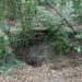 Sinkhole Continues to Expand Near Upper West Side Dog Park: ‘Soon It Will Consume the Dog Run’