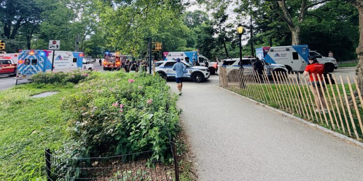 18-Year-Old in Critical Condition After Falling Out of Runaway Horse Carriage in Central Park: Police, Video