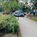 18-Year-Old Dies After Falling Out of Runaway Horse Carriage in Central Park: Police