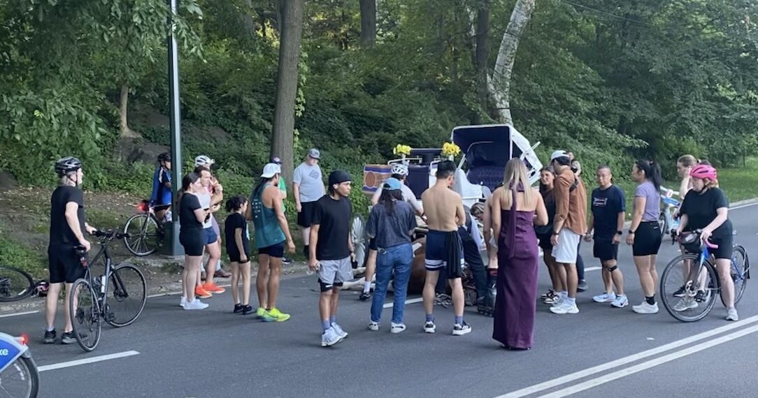 Carriage Horse Collapses and Dies in Central Park