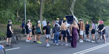 Carriage Horse Collapses and Dies in Central Park