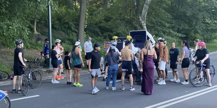 Carriage Horse Collapses and Dies in Central Park