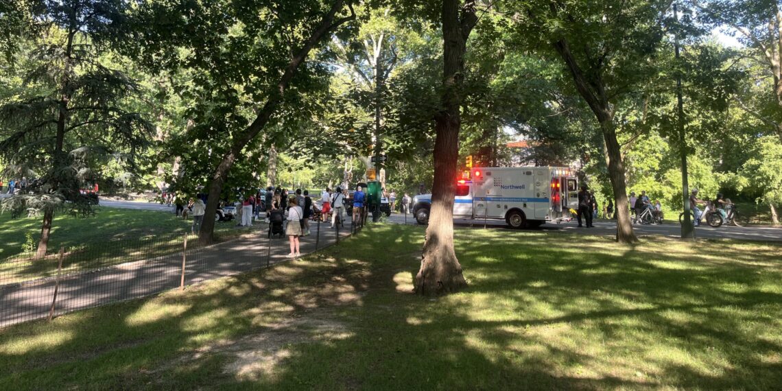 Pedestrian and Biker Bloodied and Hospitalized After Colliding in Central Park
