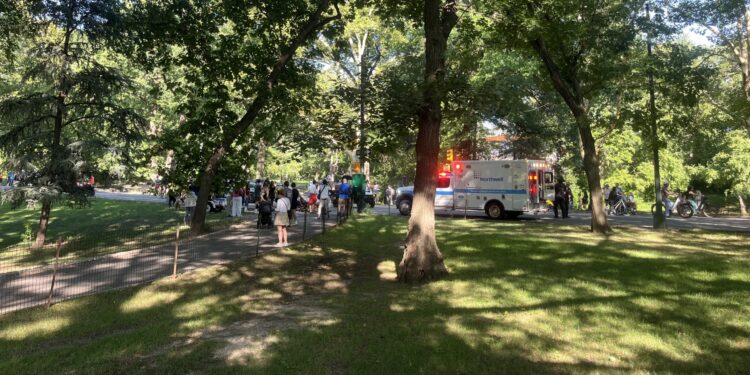 Pedestrian and Biker Bloodied and Hospitalized After Colliding in Central Park