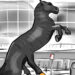 WSR Cartoon: Trojan Horse Gets Boot For Being In No Standing Zone