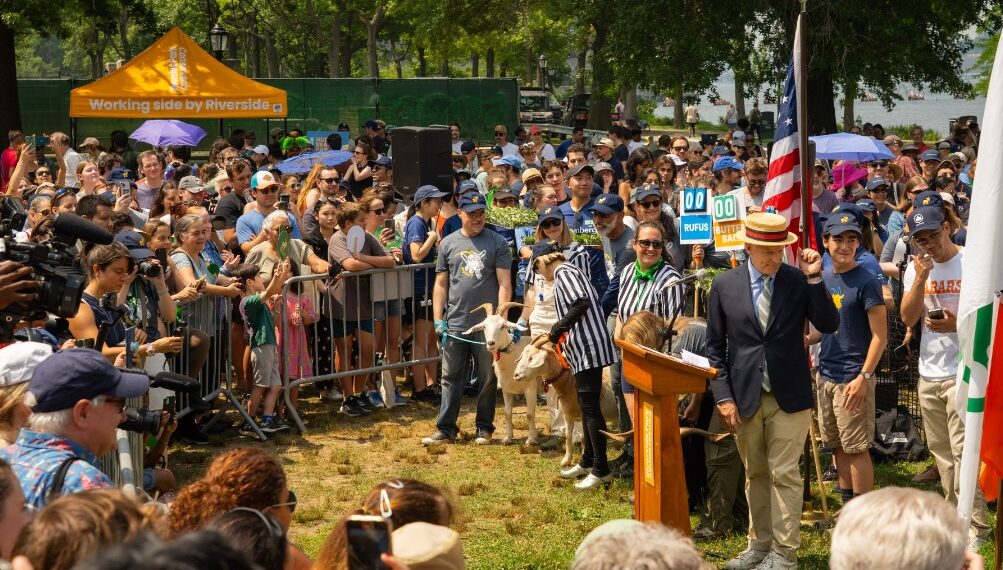 The Goats Are Returning to Riverside Park This Weekend