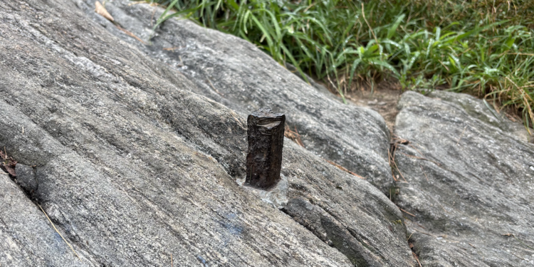 The 218-Year-Old Metal Bolt in Central Park: Its Significance and Its Secrecy