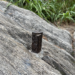 The 218-Year-Old Metal Bolt in Central Park: Its Significance and Its Secrecy