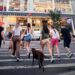 From Bad Baldies to Frozen Food: The Upper West Side Kind of Fancy