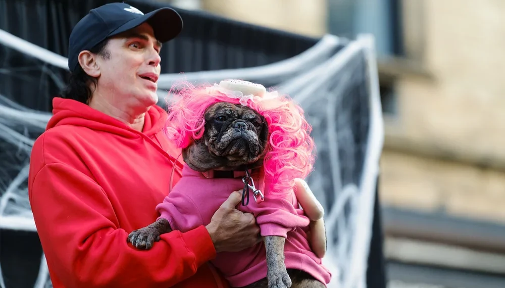 Dogs in Halloween Costumes Will Take Over a Stretch of the Upper West Side this Weekend