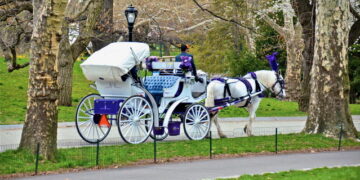 Horse-Drawn Carriages in Central Park ‘Coming to an End,’ Mayor Says: Photos