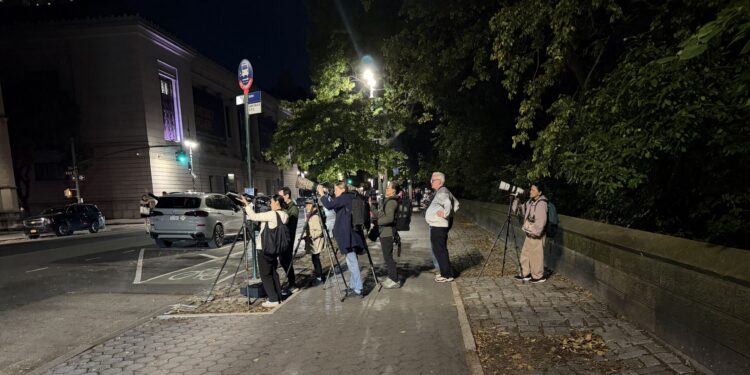 The Late-Night Birders Flocking to the UWS To Capture a Shot of the Resident Barn Owl Family