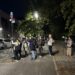 The Late-Night Birders Flocking to the UWS To Capture a Shot of the Resident Barn Owl Family