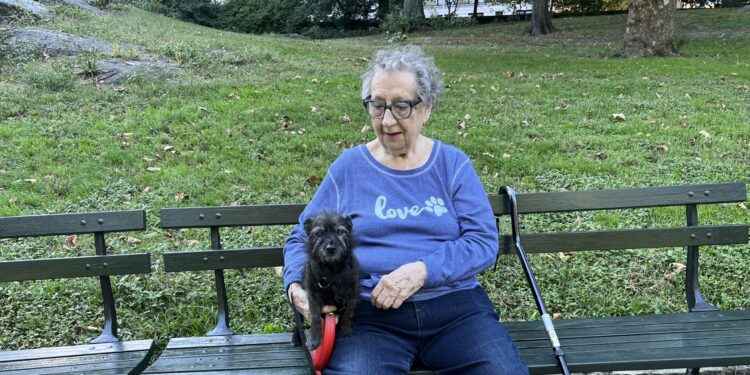 Let’s Hear it for the Upper West Side’s Old Dog Lady