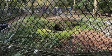 Dinosaur Park Receives $3M To Improve Restrooms as Half the UWS Playground Remains Closed