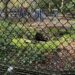 UWS Playground Receives $3M To Improve Restrooms as Half the Space Remains Closed