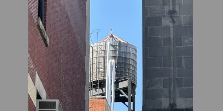 Upper West Side Barn Owls’ Water Tower Home Loses its Roof