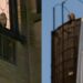 Multiple Barn Owls Possibly Spotted in Upper West Side Building Courtyard