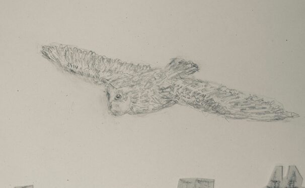 Two Poems and a Drawing by Upper West Siders