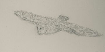 Two Poems and a Drawing by Upper West Siders